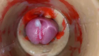 Gay Porn Videos 19